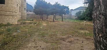 hovsan ev satışı: 24 sot, Biznes üçün, Mülkiyyətçi, Kupça (Çıxarış) — 4