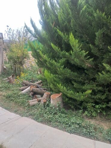 купить дом в баку: 🏡 Noxanıda (Murad Marketin qarşısında) 6 sot torpaq və hazır villanın — 2