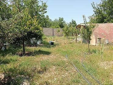 sumqayitda ev: 6 sot, Tikinti, Makler, Kupça (Çıxarış) — 9