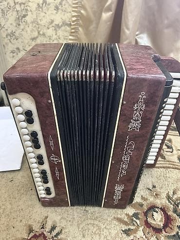 3 tekerli velosiped type 1: Qarmon/akkordeon – “Тула” (Tula) tipli, balqabaq rəngli korpus. - — 1
