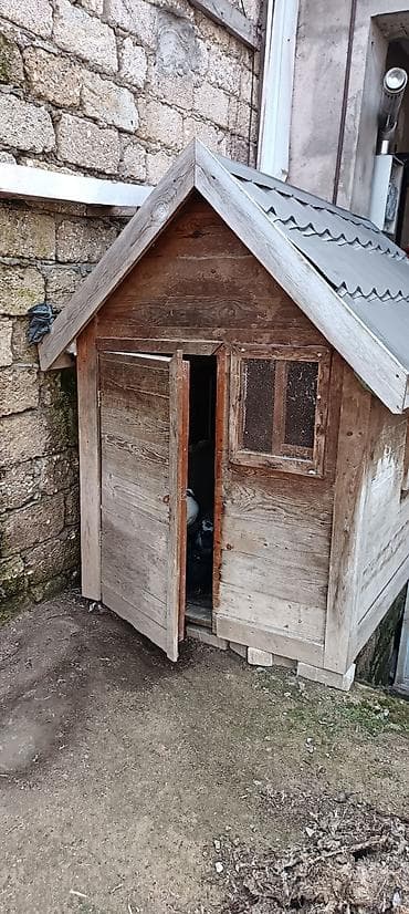 Собаки: Taxta quşxana / quş yuvası - Material: tamamilə taxtadan yığılıb — 1