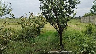 2 otaqlı, 150 kv. m, Kredit yoxdur, Orta təmir — 7