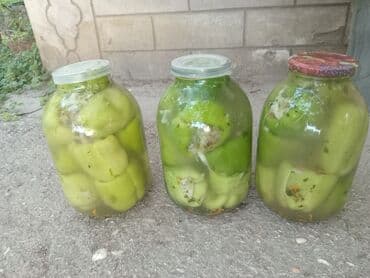 irshad telecom is saatlari: Digər — 3