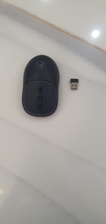 wifi modem usb: USB qəbuledicisi ilə simsiz kompyuter siçanı. Bu funksional və rahat — 2
