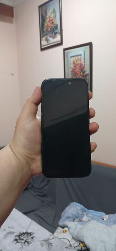 Техника для кухни: IPhone 15, Черный, Face ID — 3