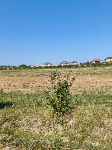 bağ evləri: Kənd təsərrüfatı — 1