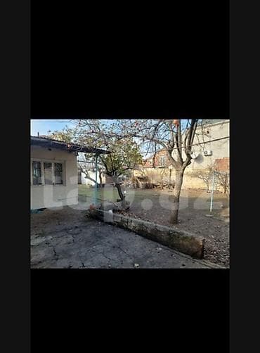 Tikinti, Bələdiyyə