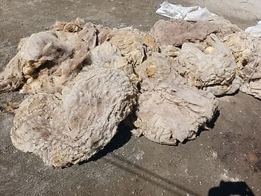 qarlı şam və küknar ağacları: Qoyun yunu – kisələrdə - Təbii qoyun yunu, iri polipropilen kisələrdə — 1