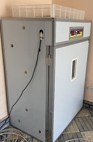 mini generator: Yumurta inkubasiya aparatı Generator,yemüyüden ve inkubator 3- ü — 1