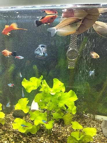 m16 plus smart watch: İşlənmiş, Qol saatı, Orient, rəng - Gümüşü — 3