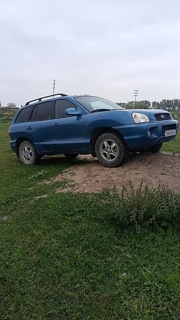 masin markalari adlari: Hyundai Santa Fe: 2.4 l | 2001 il Ofrouder/SUV — 1