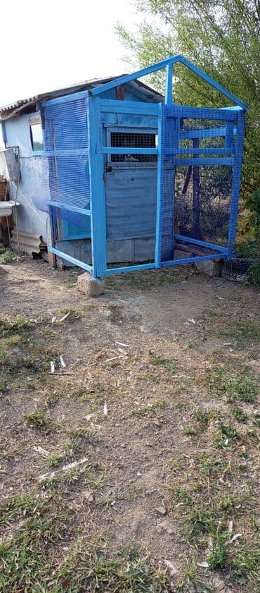 Məhsul: Açıq hava volyeri/qarmaq telindən quş qəfəsi anbarı yanına