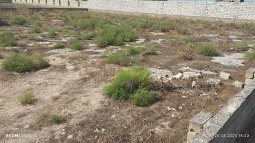 turkanda ev: 10 sot, Tikinti, Mülkiyyətçi, Kupça (Çıxarış) — 4