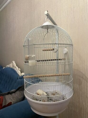 купить клетку для морской свинки: Ağ rəngli quş qəfəsi və dayaq ayağı dəsti. Xüsusiyyətlər: - Dairəvi — 2