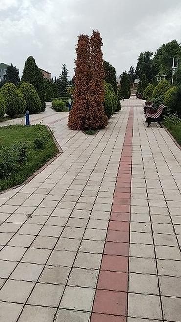 w202 qapi uzluyu: Ford Focus hatchback - Kuzov: 5 qapılı hatchback, ağ rəng - Nömrə — 10