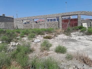 torpaq bakıda: Biznes üçün — 5