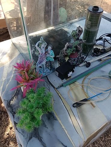 akvarium satilir: Akvaryum və tam aksesuar dəsti Ölçülər (şüşə akvaryumun üzərində qeyd — 3