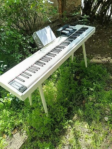 piano az: Piano, Rəqəmsal, Yeni, Rayonlara çatdırılma, Pulsuz çatdırılma — 2