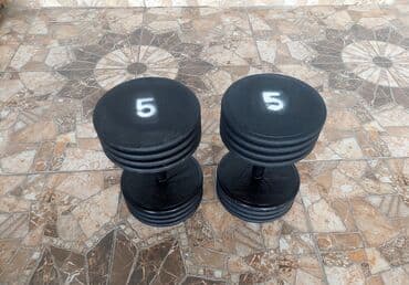 natiq vahidov 9 cu sinif pdf: Qantellər, Çəki: 4 kq — 5