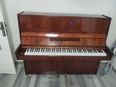 royal cat jakne: Piano, Belarus, Akustik — 3