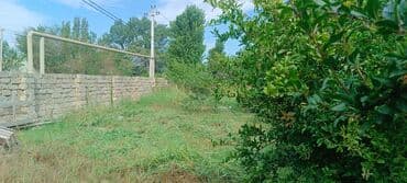 xacmaz torpag: Tikinti — 2