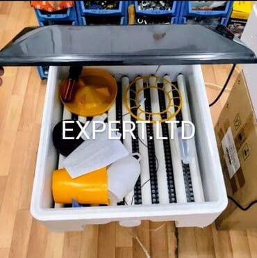 kend çolpaları: Tam avtomat inkubatorlar satılır Aparatlar yeni,və təmiz zavod — 29