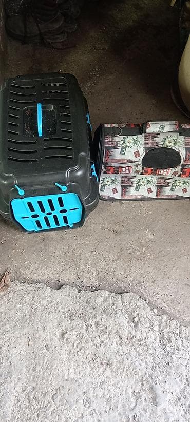 pişik yataqları: İkisini bir yerde 15 azin satıramHeyvan daşıma üçün 2 ədəd — 2