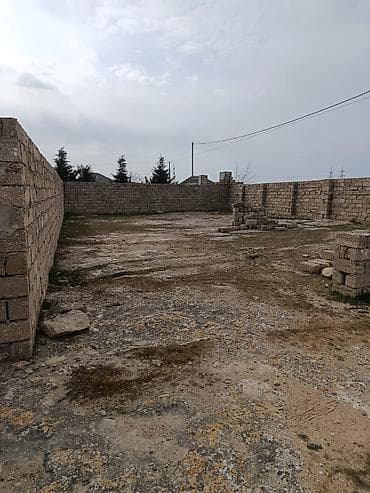 Tikinti, Bələdiyyə