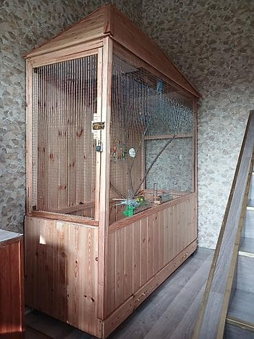 quş ucun qəfəs: 1.50 nin 1.50 yə . papuqaylarla birlikdə satılır — 2