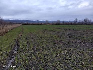 Гаражи: 200 соток, Для сельского хозяйства, Техпаспорт — 10