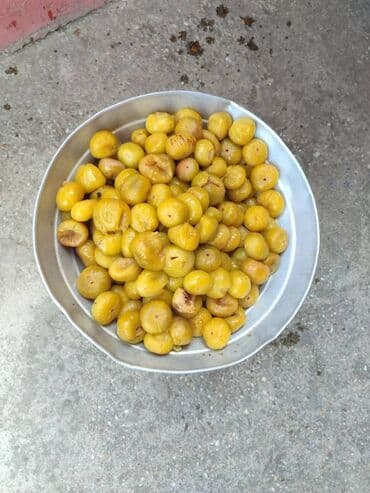 əncir qurusu: Pirşaĝı quru enciri. Yayda Pirşaĝıda quruduruq. Kohne sovet krovatinda — 7