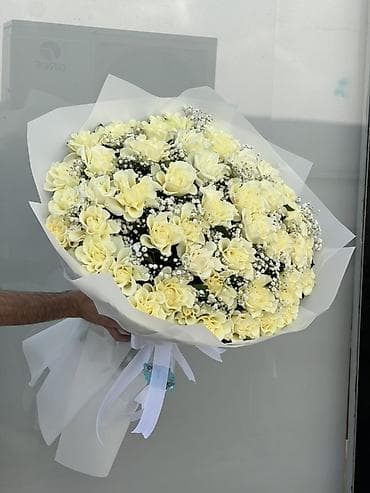 diffenbaxiya bitkisi: Hər zövqə uyğun güller yiqilir vatsap nömresi üçün əlaqə saxlaya — 1
