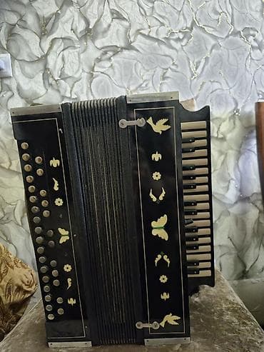 akkardeon: Qarmon/akkordeon – klaviaturalı və bas düyməli - Korpus: qara rəngli — 2