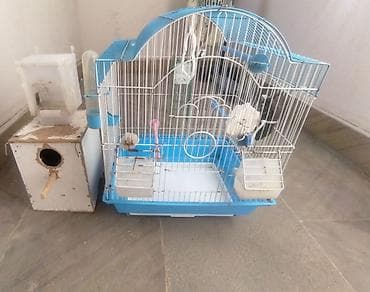 Kiçik quş qəfəsi, mavi rəngli, içərisində yem qabı var. Qəfəslə lalafo.az -da Kiçik quş qəfəsi, mavi rəngli, içərisində yem qabı var. Qəfəslə