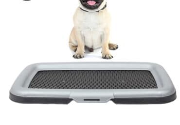 Itler ucun elekli tualet Tualet Lotok Туалет для Собак с Плоским Дном