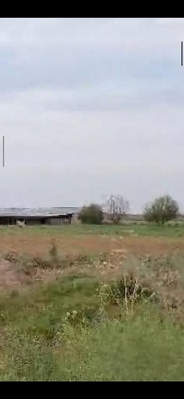Metal fermalar: Ferma və təsərrüfat kompleksi - Heyvandarlıq üçün tikililər: uzun — 9