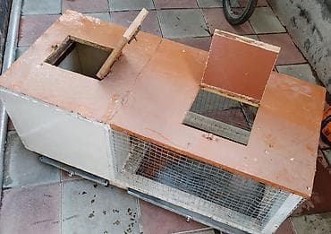 ev heyvan: Ev heyvanları üçün taxta qəfəs - Material: taxta karkas, ön hissə — 2