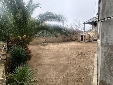 Kirayə evlər: 6 otaqlı, 1100 kv. m, Kredit yoxdur, Orta təmir — 9