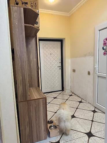 шкаф в нише: 2 двери, С зеркалом, Коричневый, Другой материал, Распашной, Прямой шкаф — 5