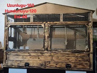 Taxta voliər/şaquli qəfəs Ölçülər (şəkildə göstərildiyi kimi): - — 1