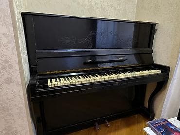 Piano, Belarus, Akustik, İşlənmiş, Ünvandan götürmə