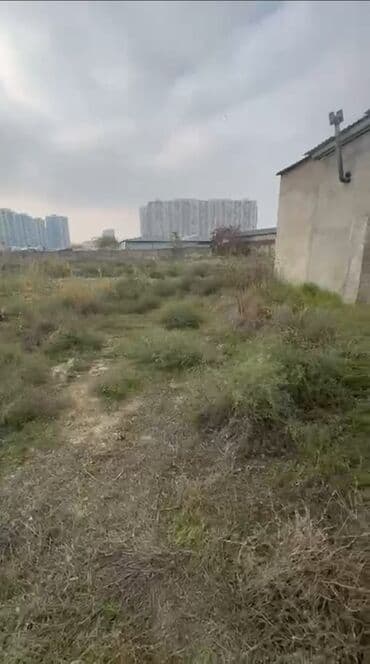 xacmaz torpaq satilir: 32 sot, Biznes üçün, Mülkiyyətçi, Kupça (Çıxarış) — 5