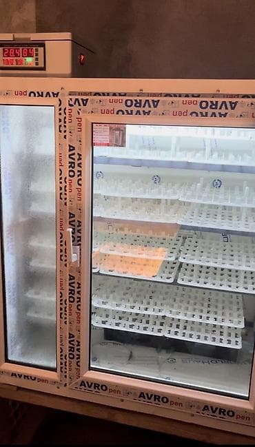 Kənd təssərüfatı avadanlığı: Yumurta inkubatoru – böyük tutumlu, rəqəmsal idarəetməli Heçbir — 2