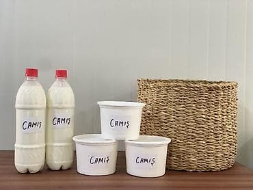 dolma sekilleri: Məhsul: Camış südü və camış qatığı Təsvir: - Təbii camış südü: Ağ — 2