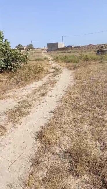 elite: 44 sot, Tikinti, Mülkiyyətçi, Bələdiyyə — 1