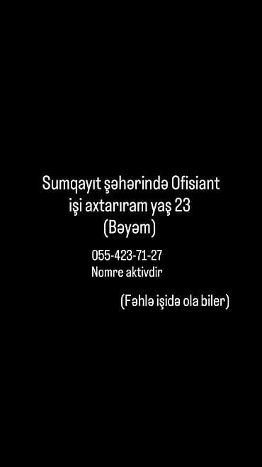 Ofisiant, Kişi, 23 yaş, 3-5 illik təcrübə