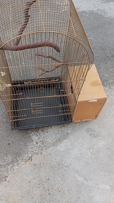 Qəfəslər: Quş qəfəsi – geniş və praktik - Material: metal barmaqlıqlı, qızılı — 1