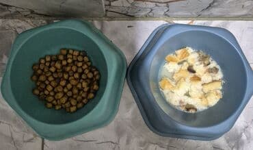 ucuz pudel: Məhsul: Kiçik itlər üçün dəst – yumşaq ev tipli yuva, iki ədəd yem — 5