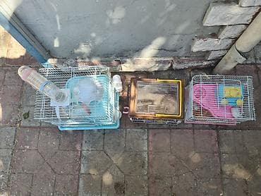 Heyvanlar üçün mallar: Qefesler satilir Qehveyi-20azn Cehrayi-20azn Yasil-30azn Goy-40azn — 3