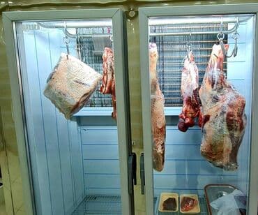mağaza üçün avadanlıqlarla təchiz olunmuş obyekt: Yasamal rayonu ərazisində ət məhsulları üçün saxladılma soyuducuları — 7